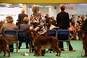 Crufts2011 485